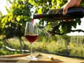 Rött vin hälls upp i ett glas på ett träbord. Perfekt vin till grekisk sallad i solnedgången bland vinrankor.
