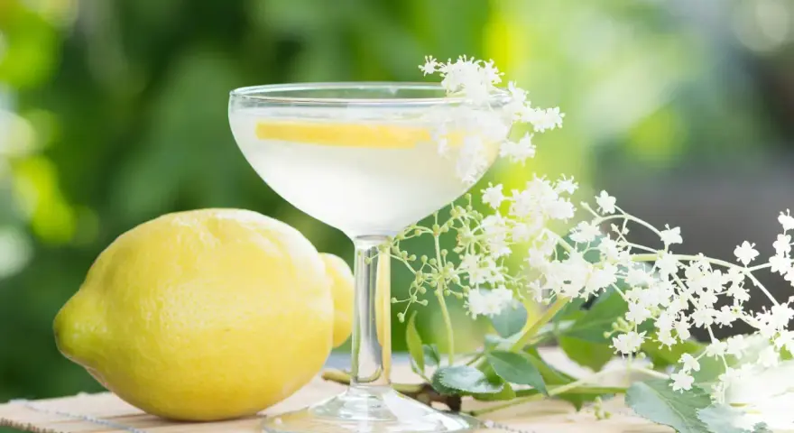 En st Germain spritz med citron och fläderblommor, perfekt för en solig sommardag.