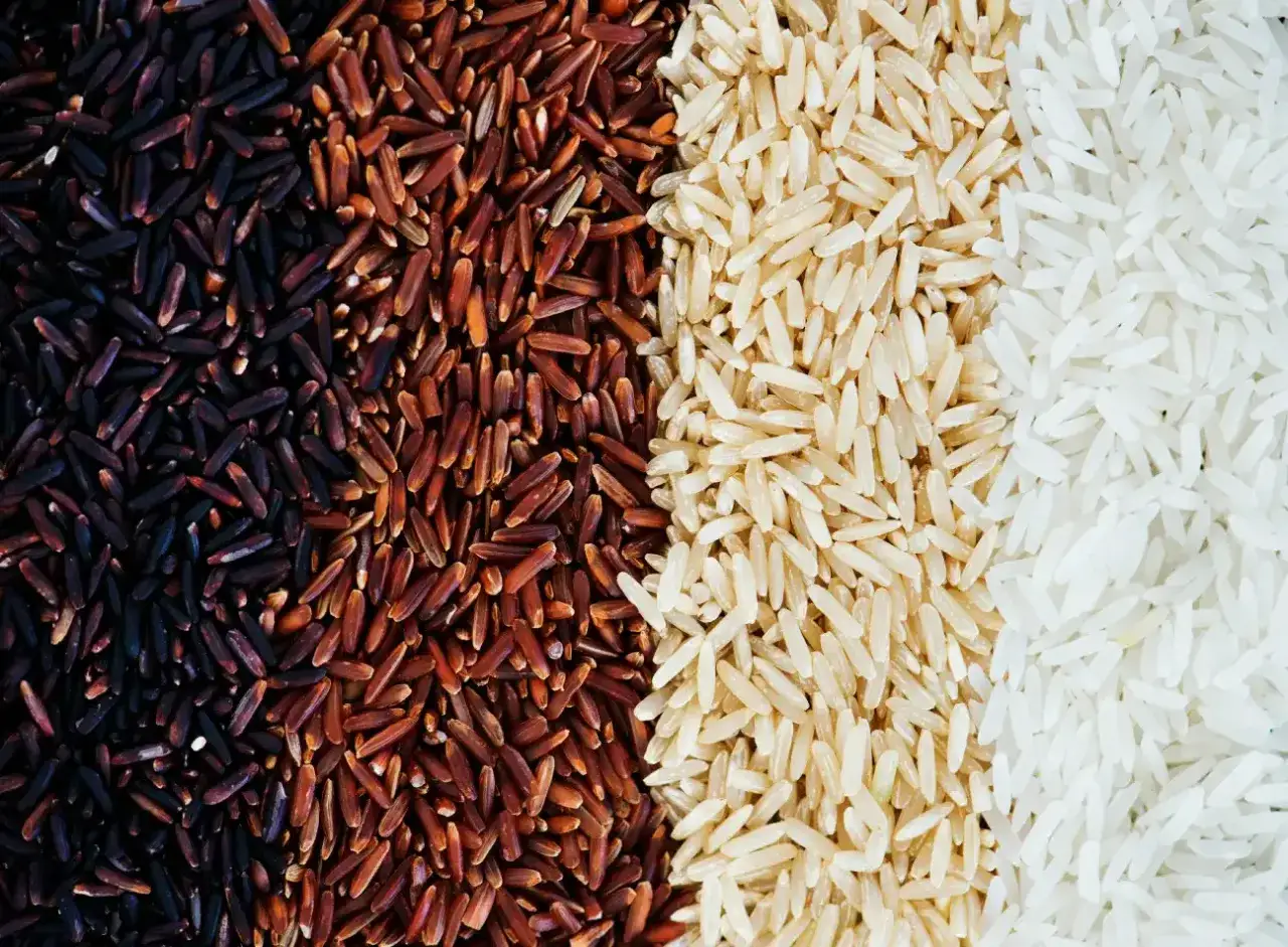 Fyra sorters ris i ränder: mörkt, rött, brunt och vitt. Perfekt ris till paella och andra läckra rätter.