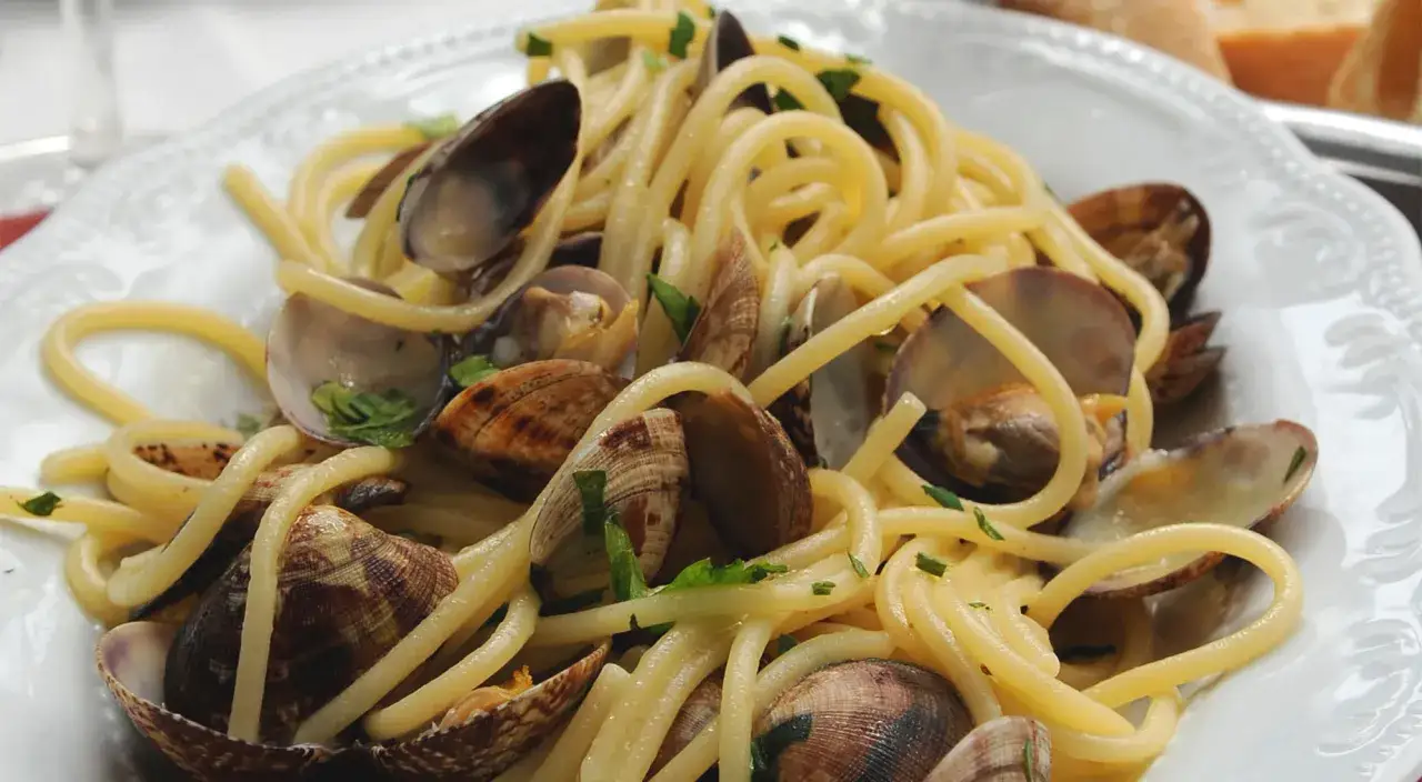 En tallrik med spaghetti och musslor, en klassisk pasta vongole.